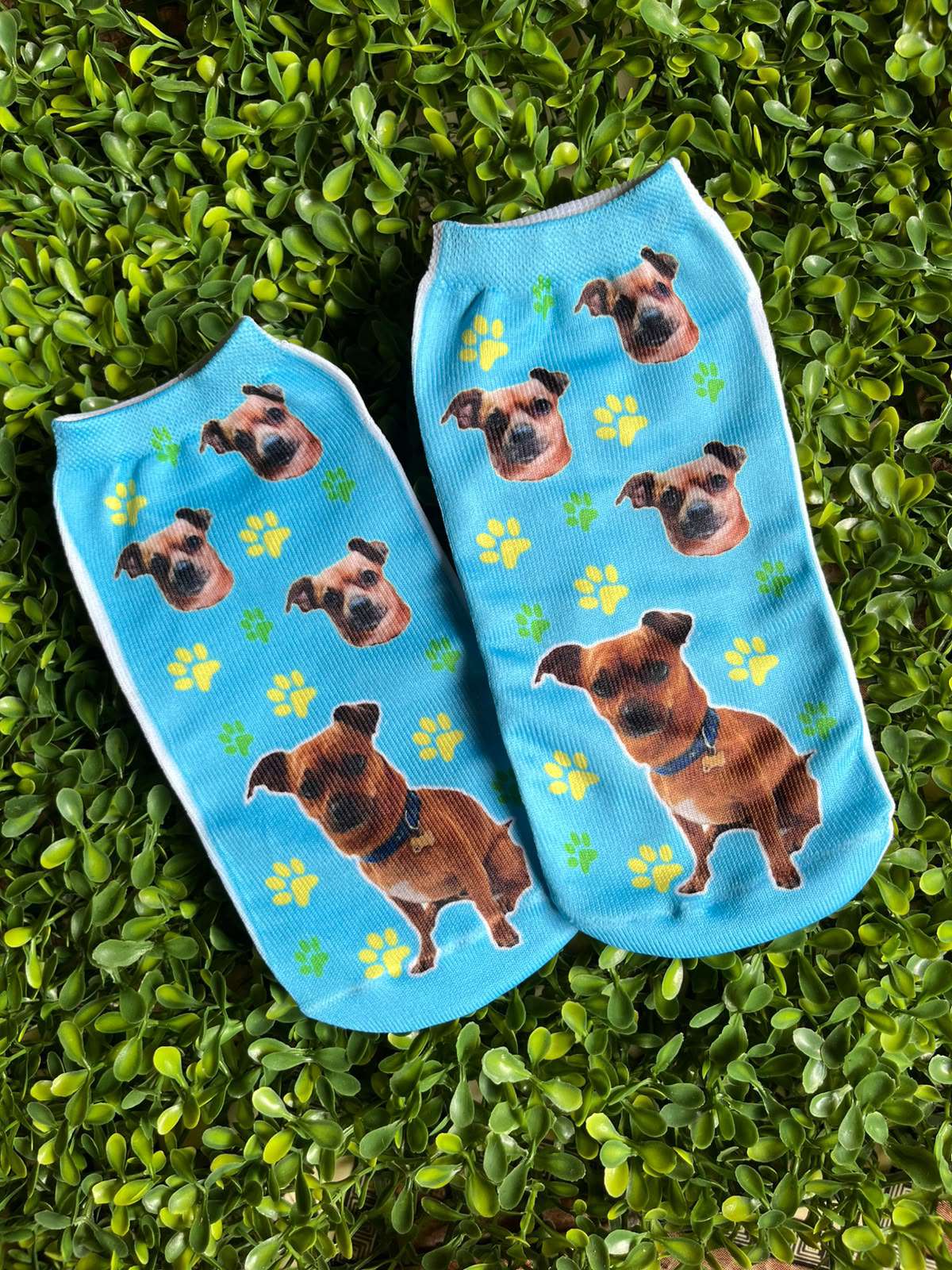 Medias personalizadas azules con foto de perrito — Comedogs Cali