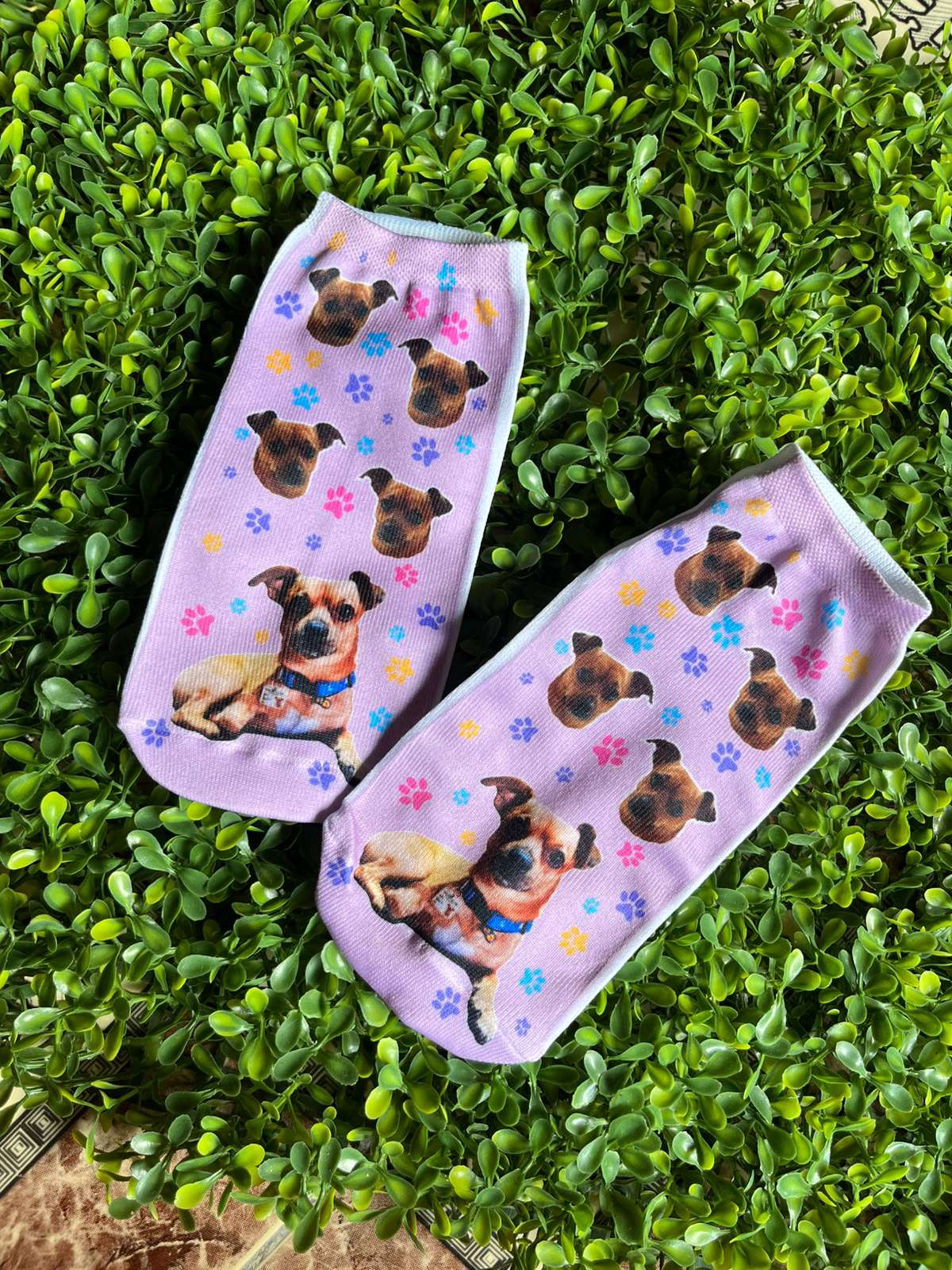 Medias personalizadas lilas con foto de perrito — Comedogs Cali