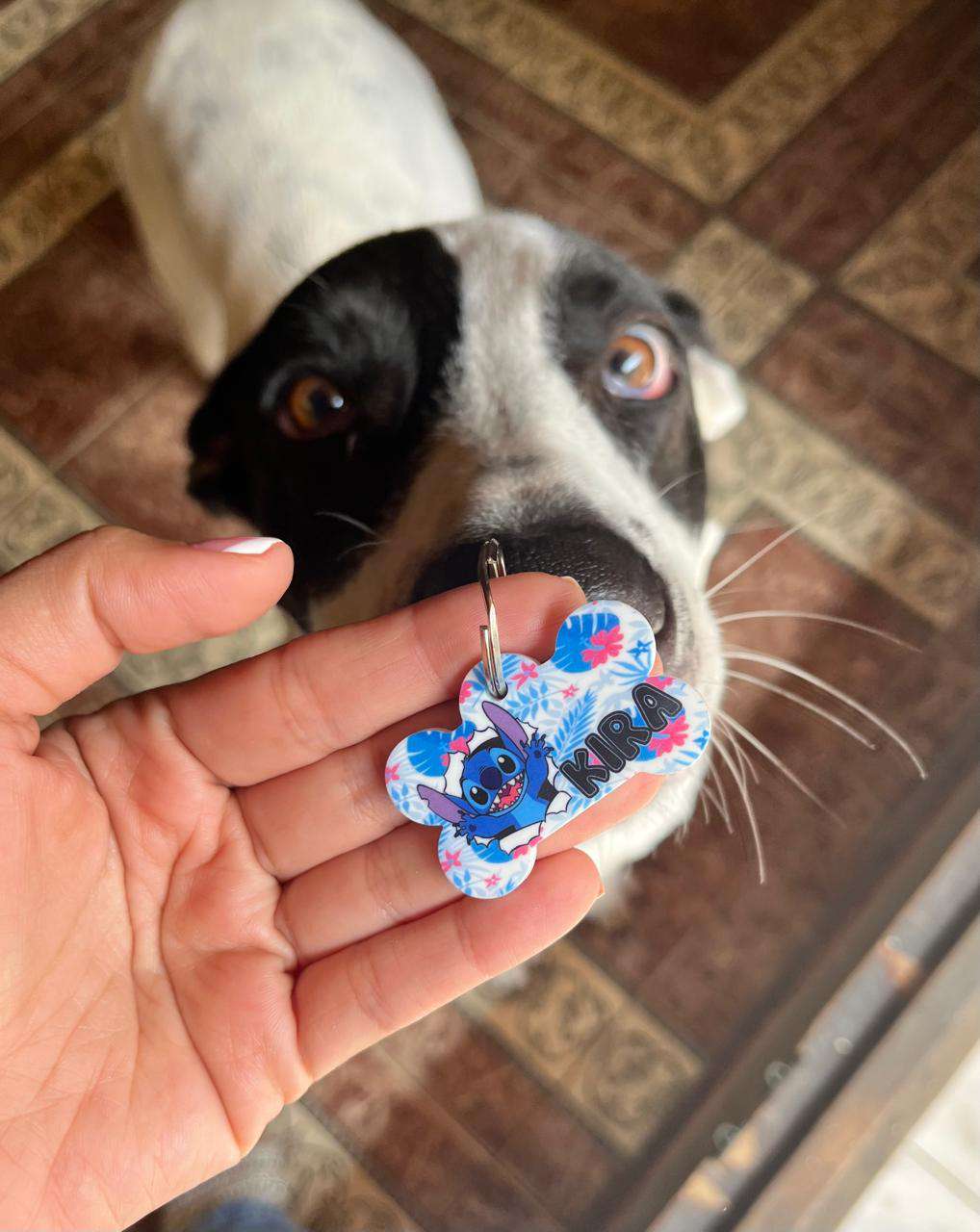 Plaquita ID personalizada diseño Stitch — Comedogs Cali