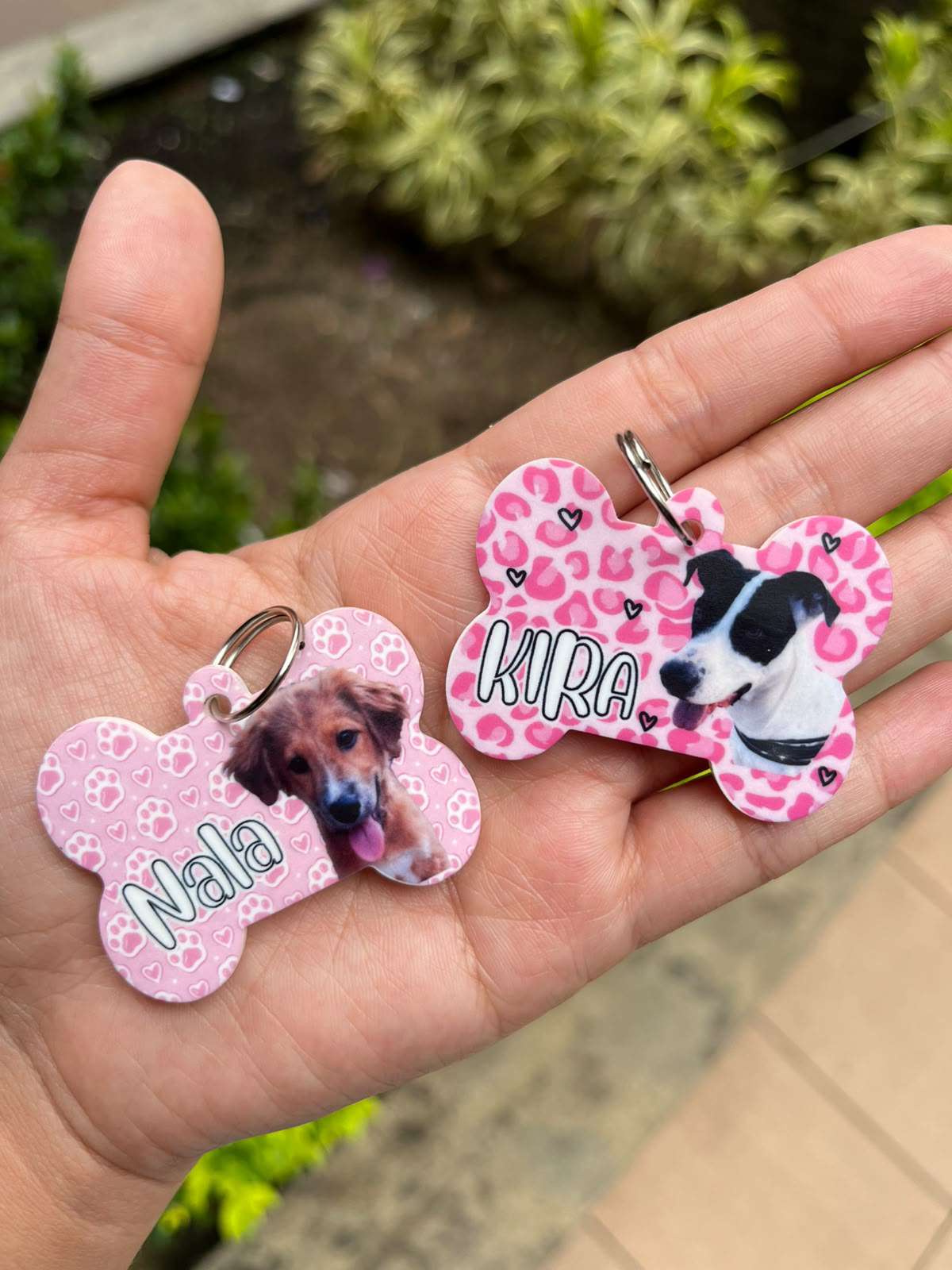 Plaquita ID personalizada con foto y nombre de perrito — Comedogs Cali